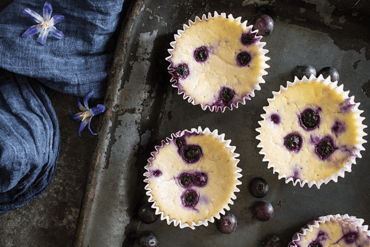 Mini Blueberry-Lemon Cheesecakes